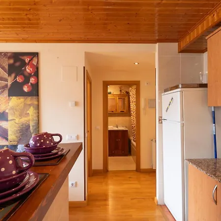 Apartamentos Formigal Daire
